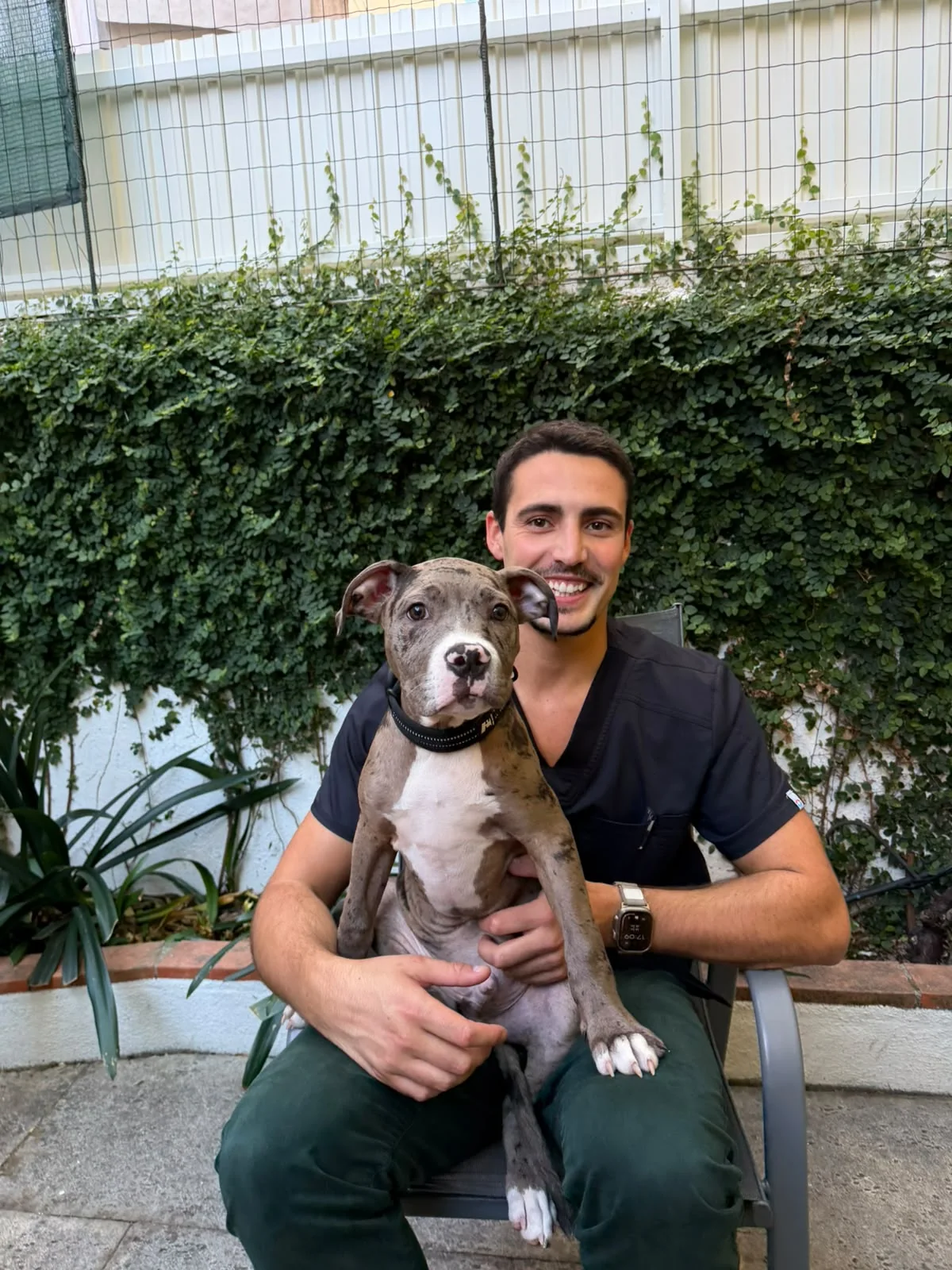 Francisco Fraga com um cão durante uma visita Vet2Home ao domicílio